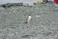 
DSC00132